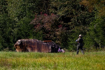Flight 93