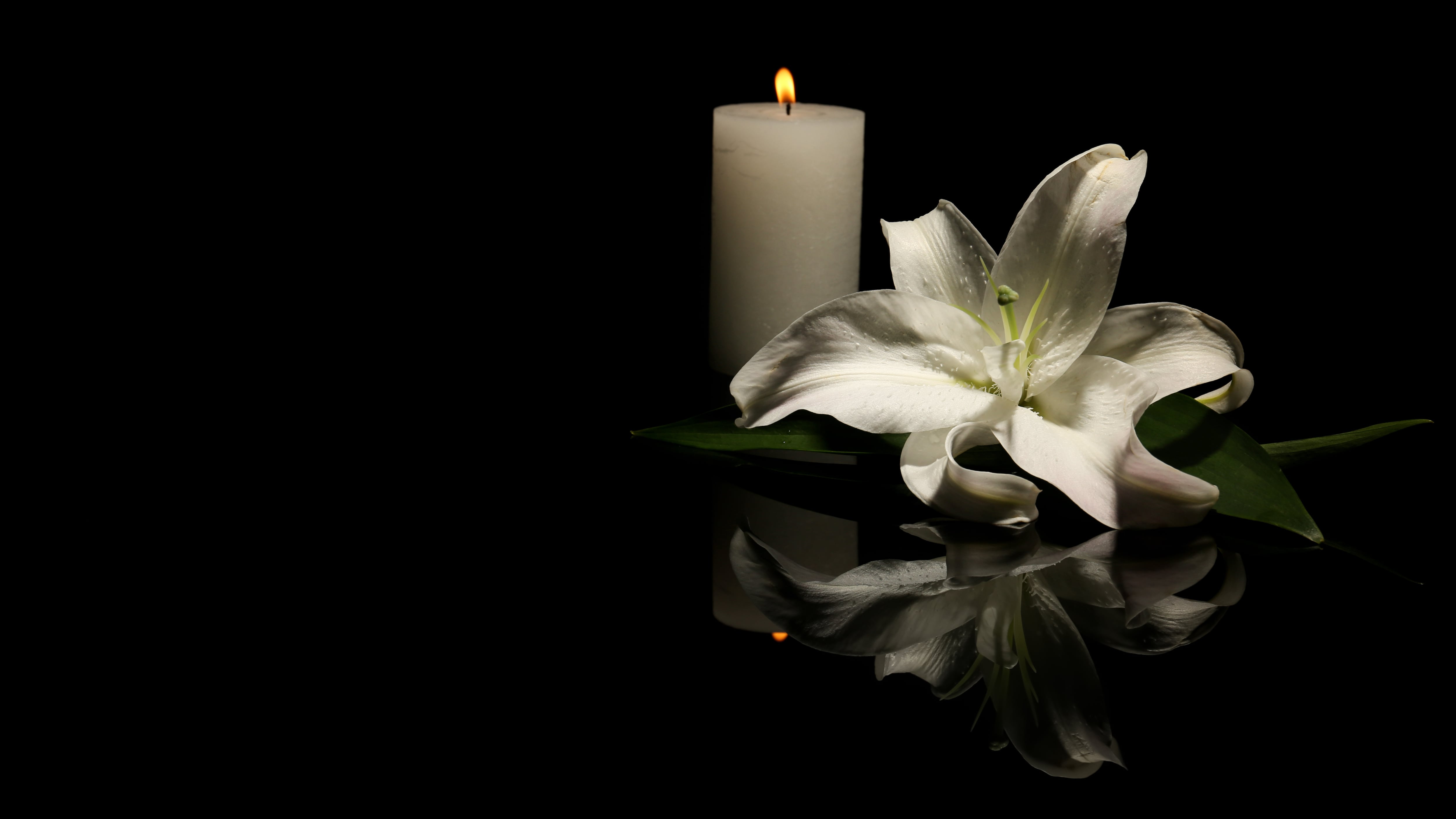 Beautiful lily and burning candle on dark background