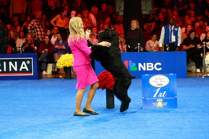 National Dog Show